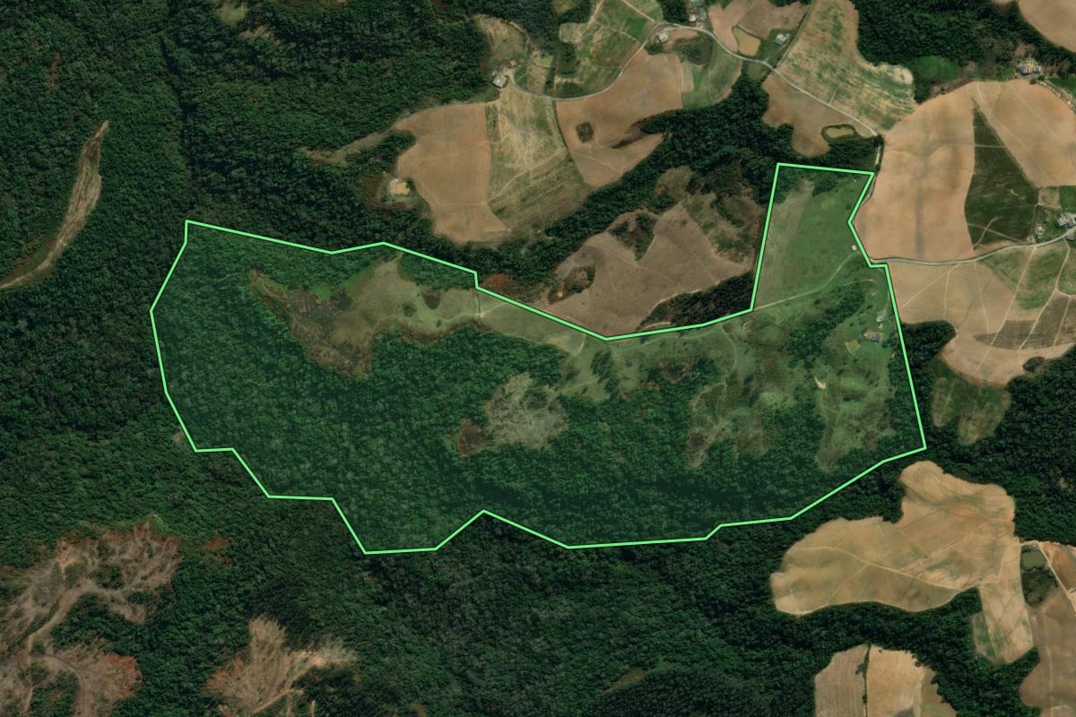 Imagem de satélite do imóvel rural em Vidal Ramos (SC), com o contorno declarado no CAR desenhado por cima.