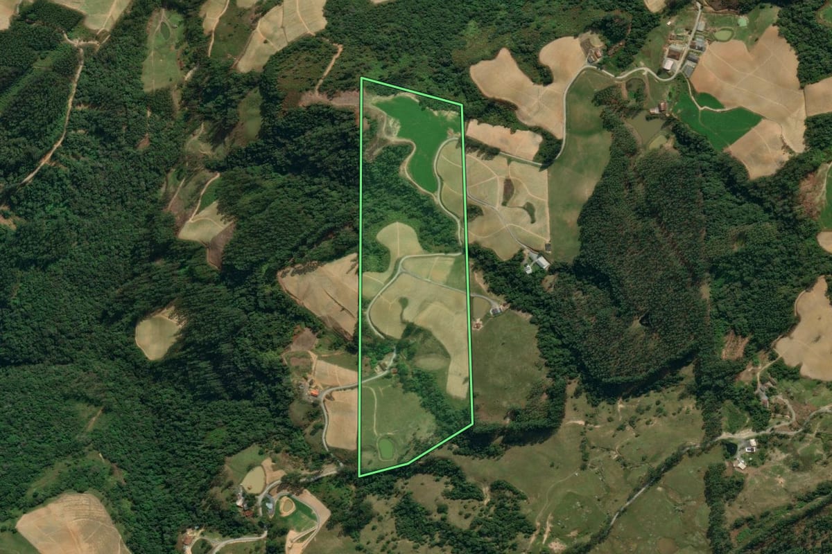Imagem de satélite do imóvel rural em Vidal Ramos (SC), com o contorno declarado no CAR desenhado por cima.