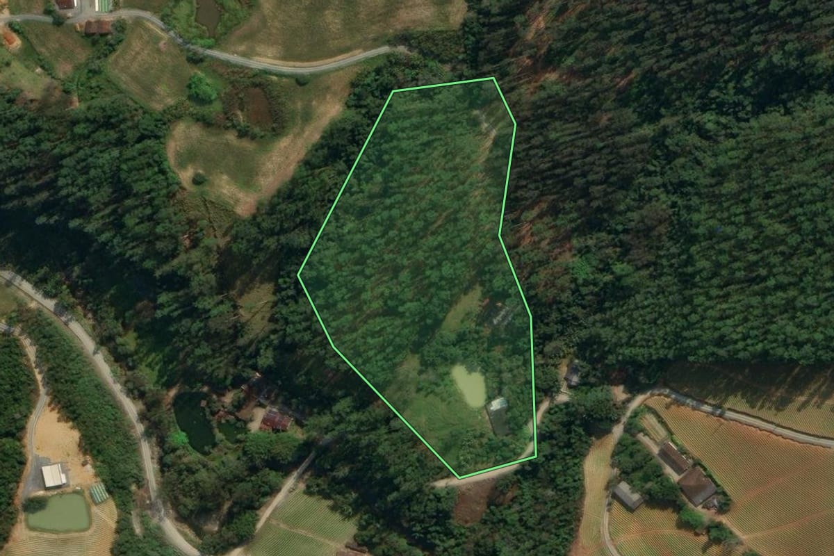 Imagem de satélite do imóvel rural em Vidal Ramos (SC), com o contorno declarado no CAR desenhado por cima.
