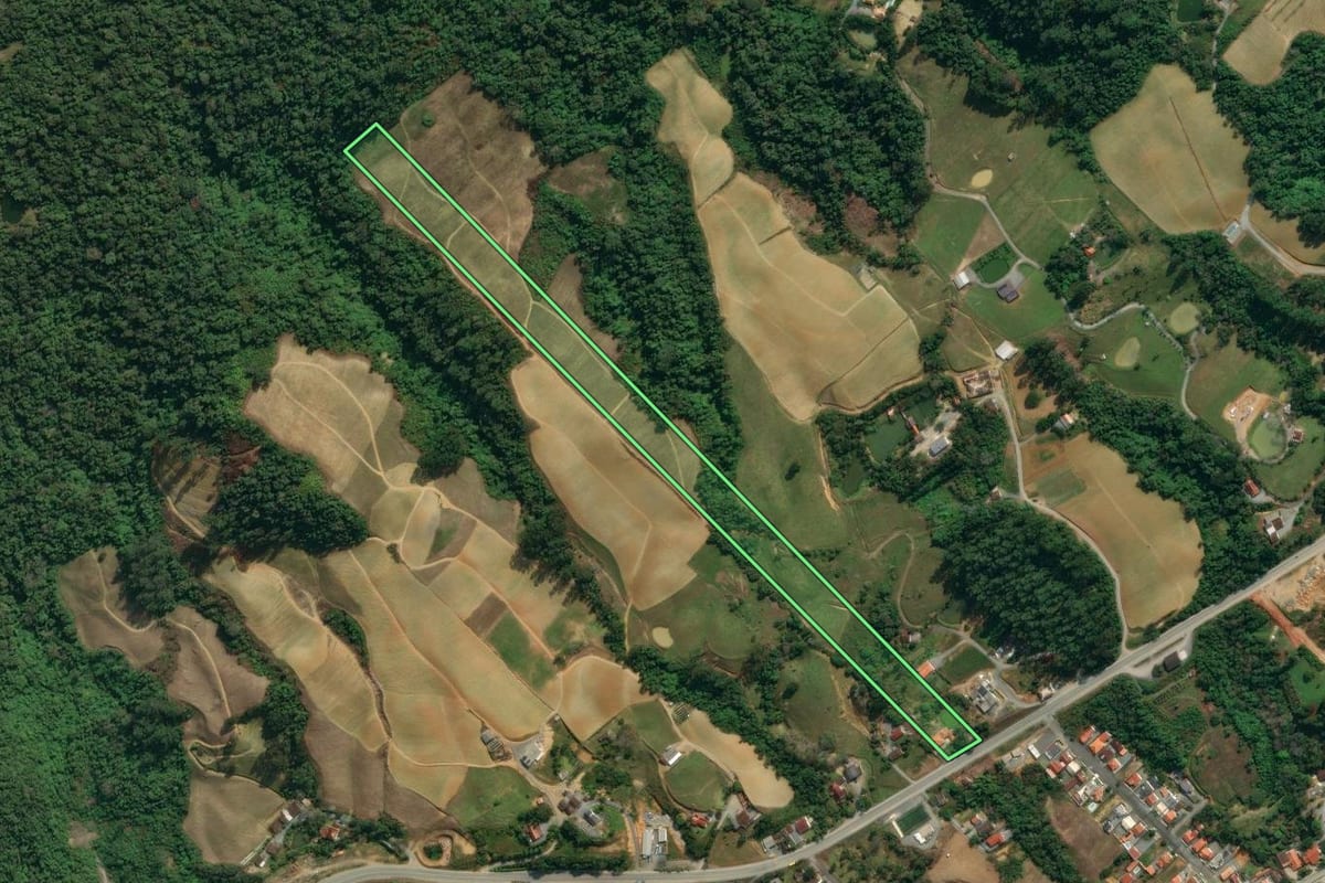 Imagem de satélite do imóvel rural em Vidal Ramos (SC), com o contorno declarado no CAR desenhado por cima.