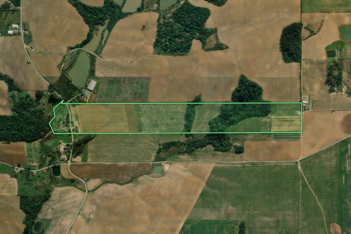 Imagem de satélite do imóvel rural em Vidal Ramos (SC), com o contorno declarado no CAR desenhado por cima.