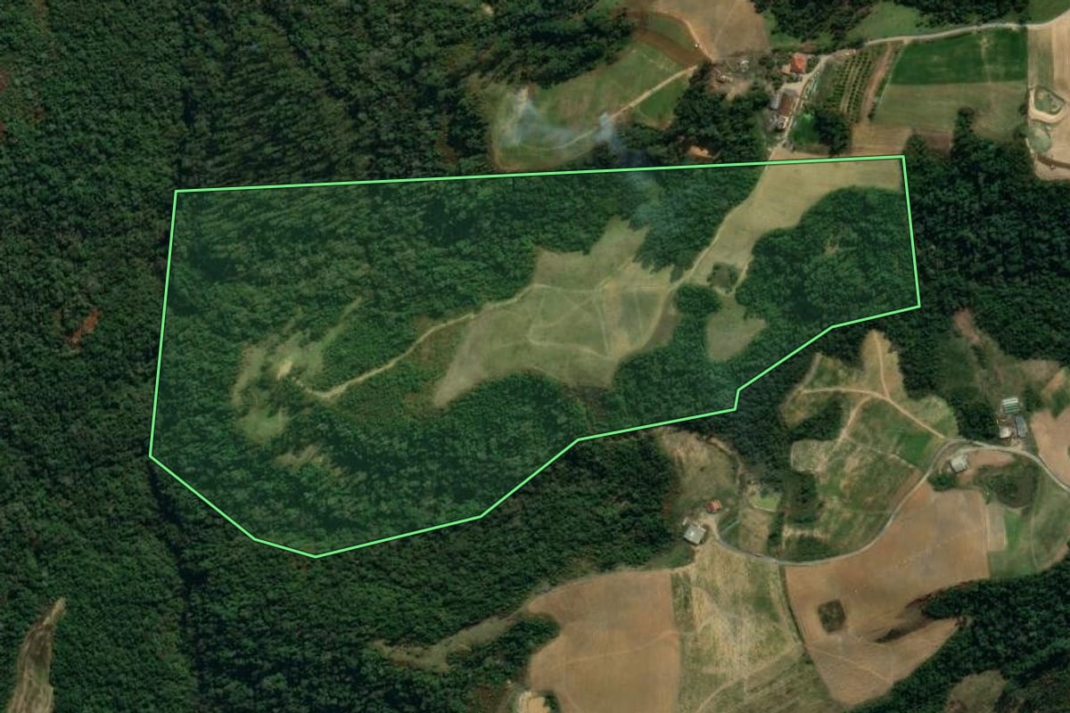 Imagem de satélite do imóvel rural em Vidal Ramos (SC), com o contorno declarado no CAR desenhado por cima.