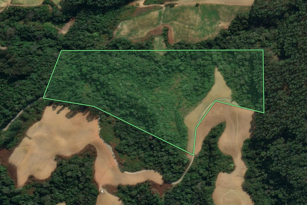 Imagem de satélite do imóvel rural em Vidal Ramos (SC), com o contorno declarado no CAR desenhado por cima.