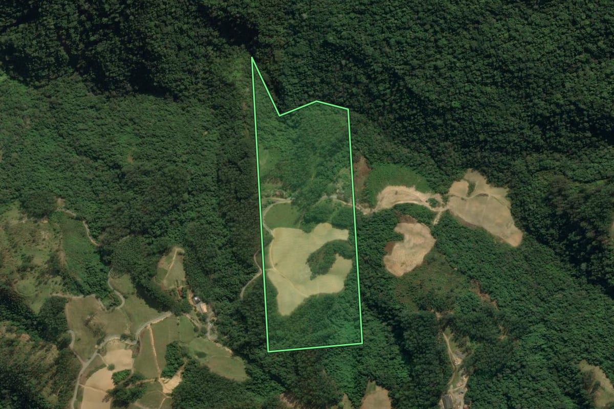 Imagem de satélite do imóvel rural em Vidal Ramos (SC), com o contorno declarado no CAR desenhado por cima.