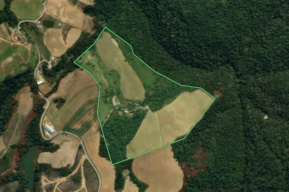 Imagem de satélite do imóvel rural em Vidal Ramos (SC), com o contorno declarado no CAR desenhado por cima.
