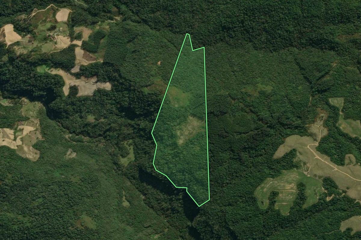 Imagem de satélite do imóvel rural em Vidal Ramos (SC), com o contorno declarado no CAR desenhado por cima.