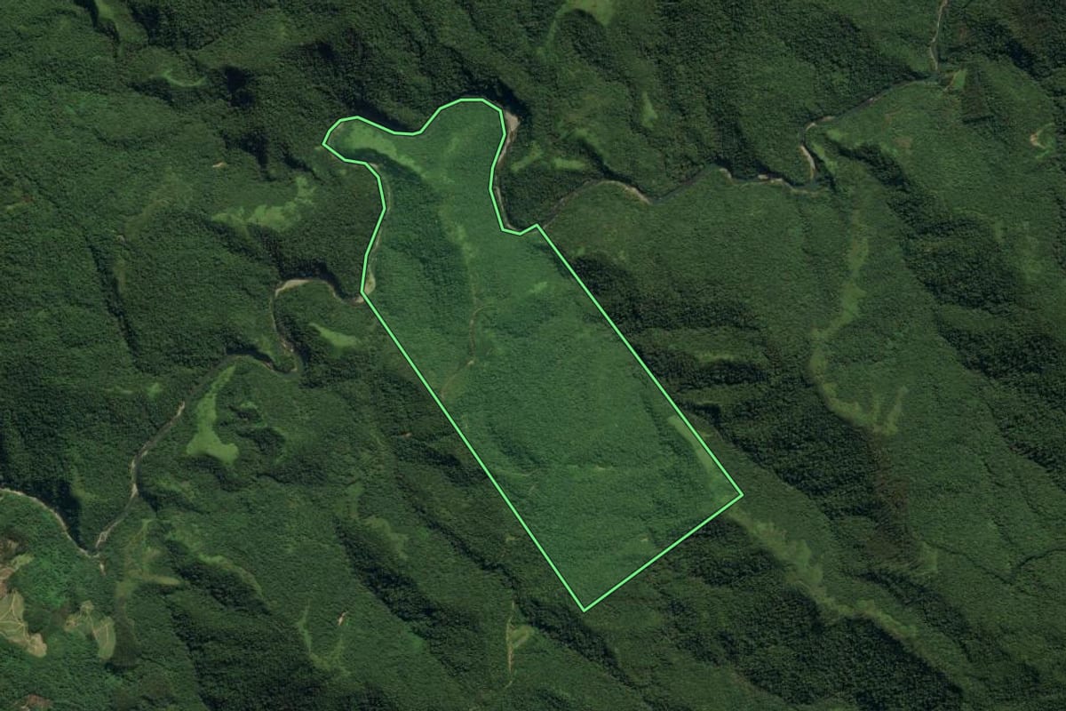 Imagem de satélite do imóvel rural em Vidal Ramos (SC), com o contorno declarado no CAR desenhado por cima.