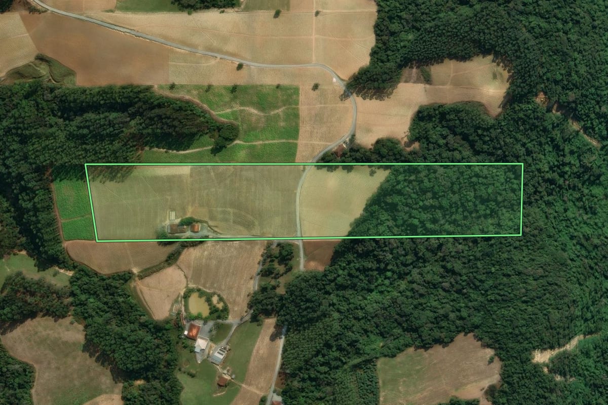 Imagem de satélite do imóvel rural em Vidal Ramos (SC), com o contorno declarado no CAR desenhado por cima.