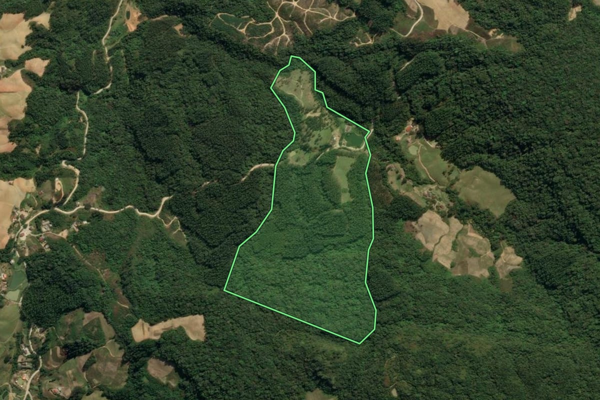 Imagem de satélite do imóvel rural em Vidal Ramos (SC), com o contorno declarado no CAR desenhado por cima.