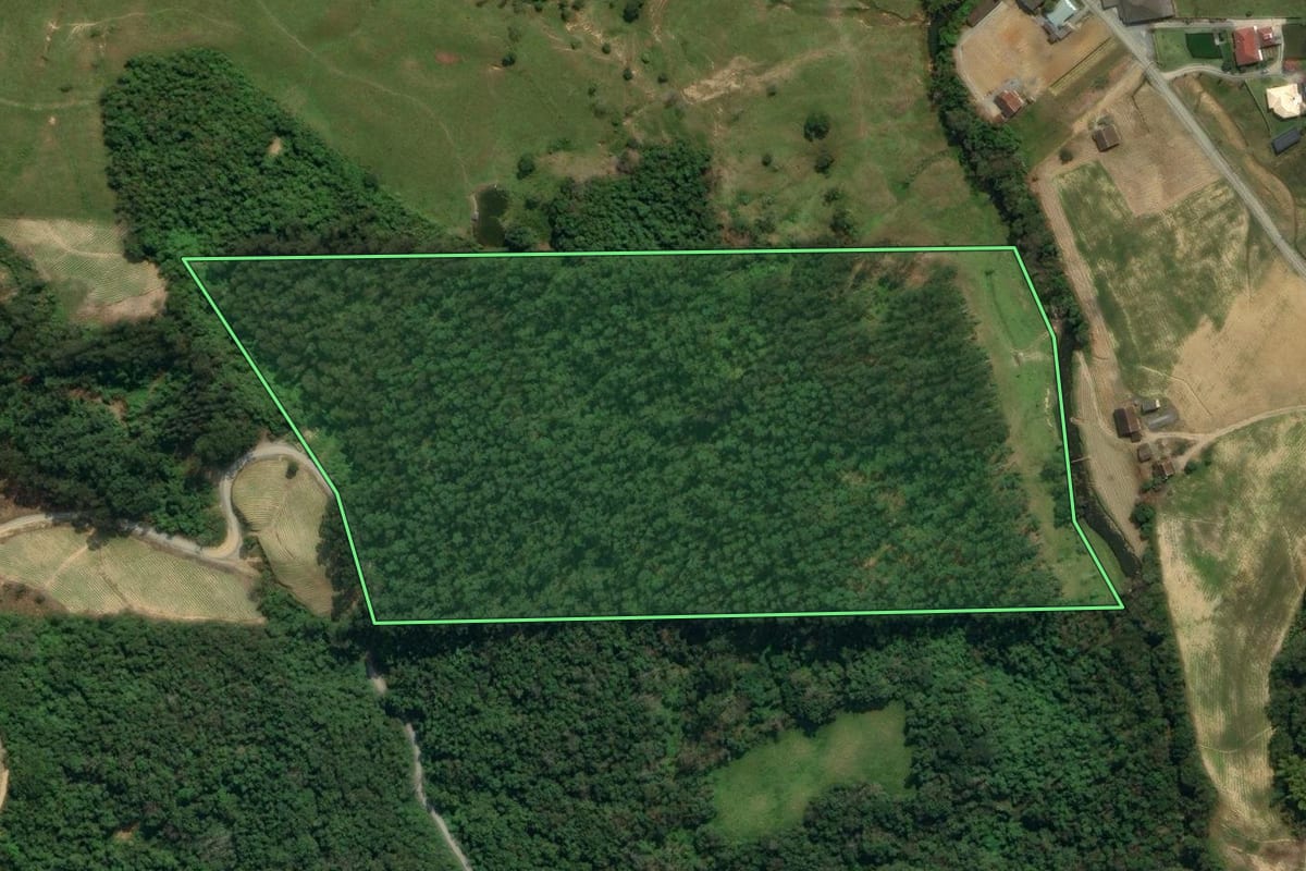 Imagem de satélite do imóvel rural em Vidal Ramos (SC), com o contorno declarado no CAR desenhado por cima.
