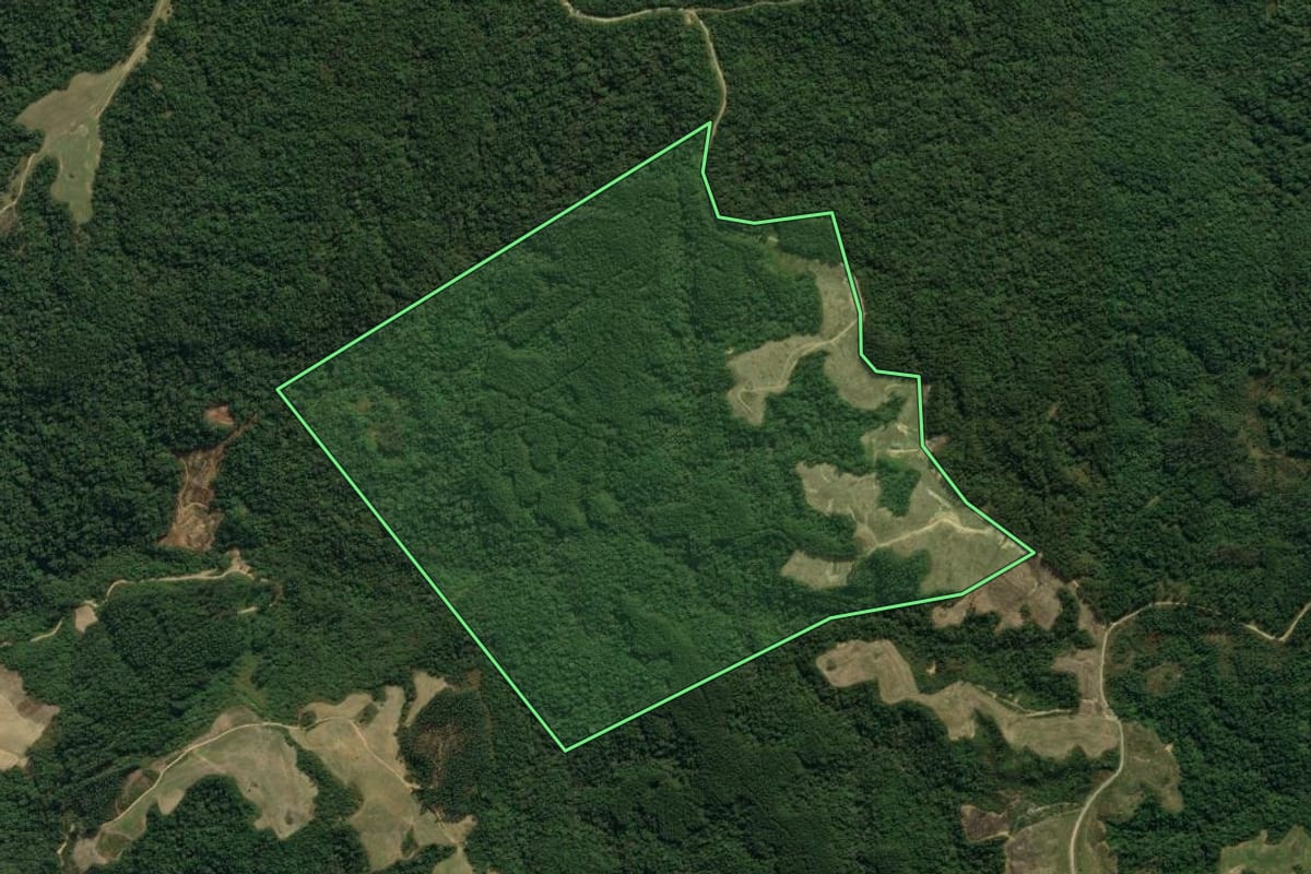Imagem de satélite do imóvel rural em Vidal Ramos (SC), com o contorno declarado no CAR desenhado por cima.