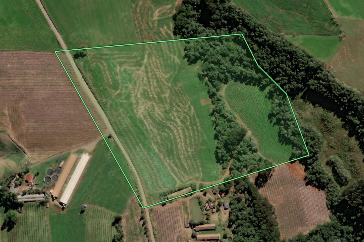 Imagem de satélite do imóvel rural em Videira (SC), com o contorno declarado no CAR desenhado por cima.
