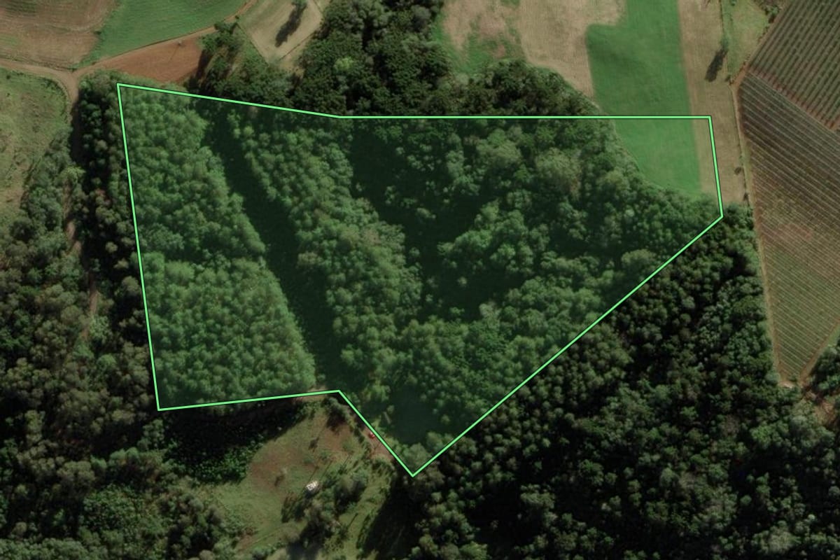 Imagem de satélite do imóvel rural em Videira (SC), com o contorno declarado no CAR desenhado por cima.