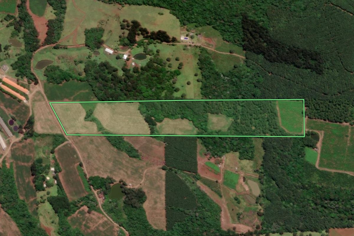 Imagem de satélite do imóvel rural em Videira (SC), com o contorno declarado no CAR desenhado por cima.