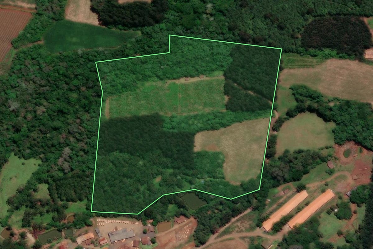 Imagem de satélite do imóvel rural em Videira (SC), com o contorno declarado no CAR desenhado por cima.