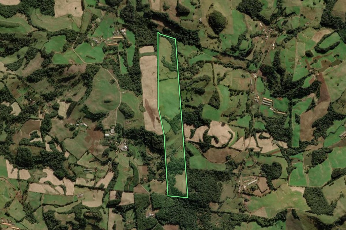 Imagem de satélite do imóvel rural em Videira (SC), com o contorno declarado no CAR desenhado por cima.