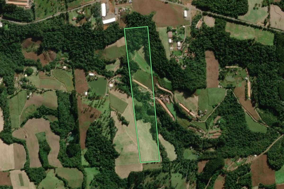 Imagem de satélite do imóvel rural em Videira (SC), com o contorno declarado no CAR desenhado por cima.