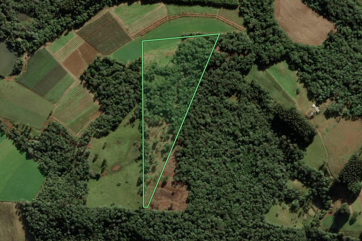 Imagem de satélite do imóvel rural em Videira (SC), com o contorno declarado no CAR desenhado por cima.