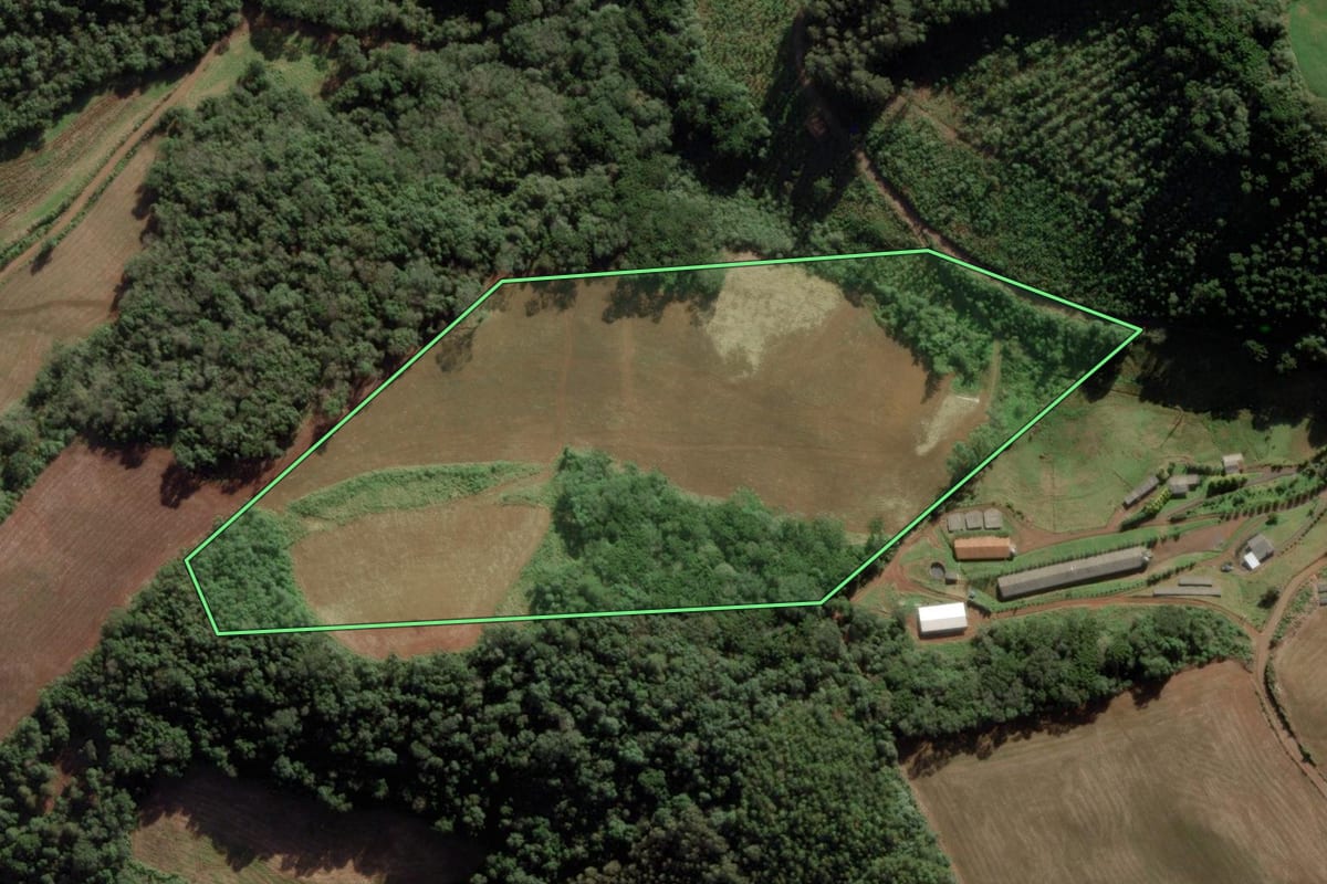 Imagem de satélite do imóvel rural em Videira (SC), com o contorno declarado no CAR desenhado por cima.