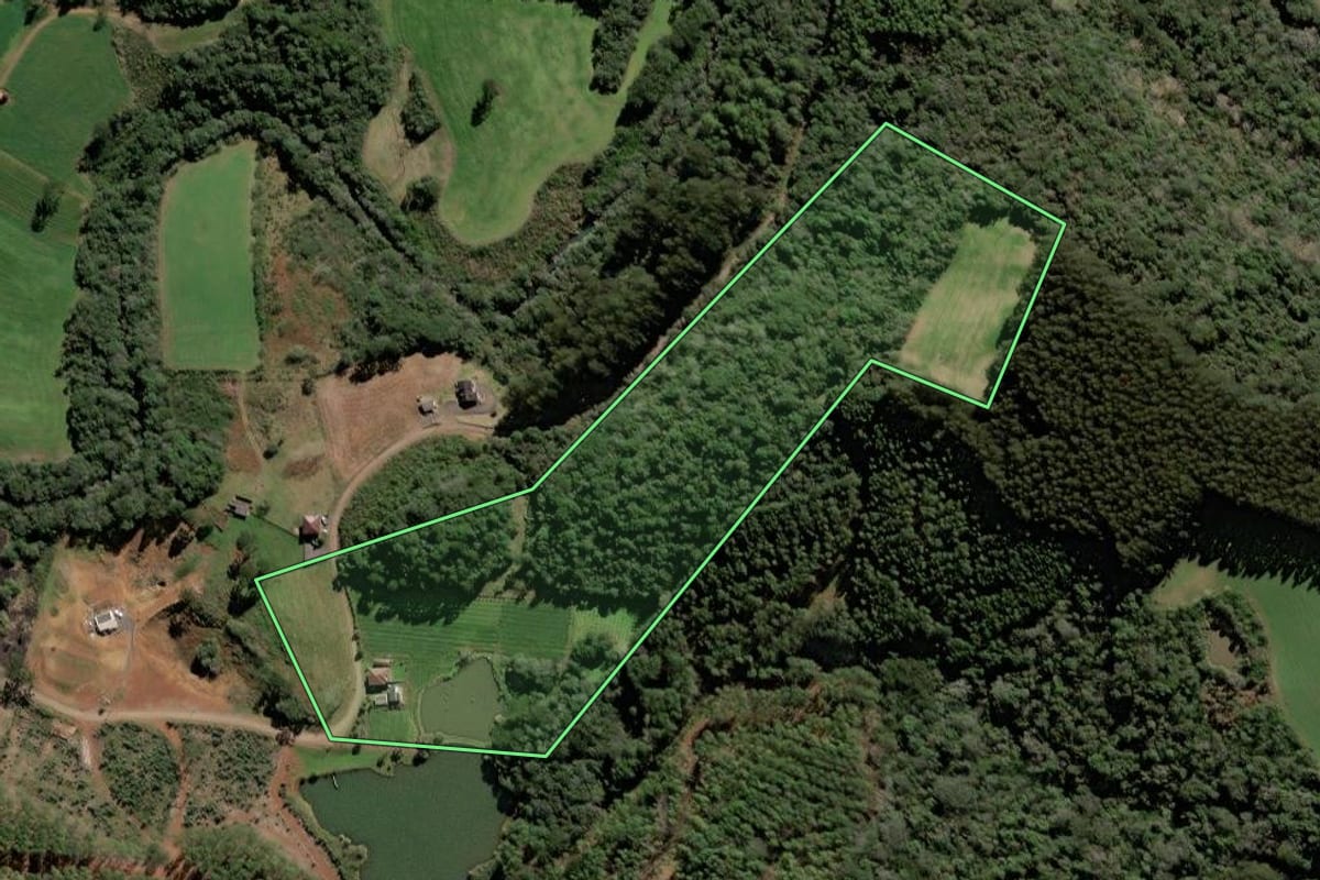Imagem de satélite do imóvel rural em Videira (SC), com o contorno declarado no CAR desenhado por cima.
