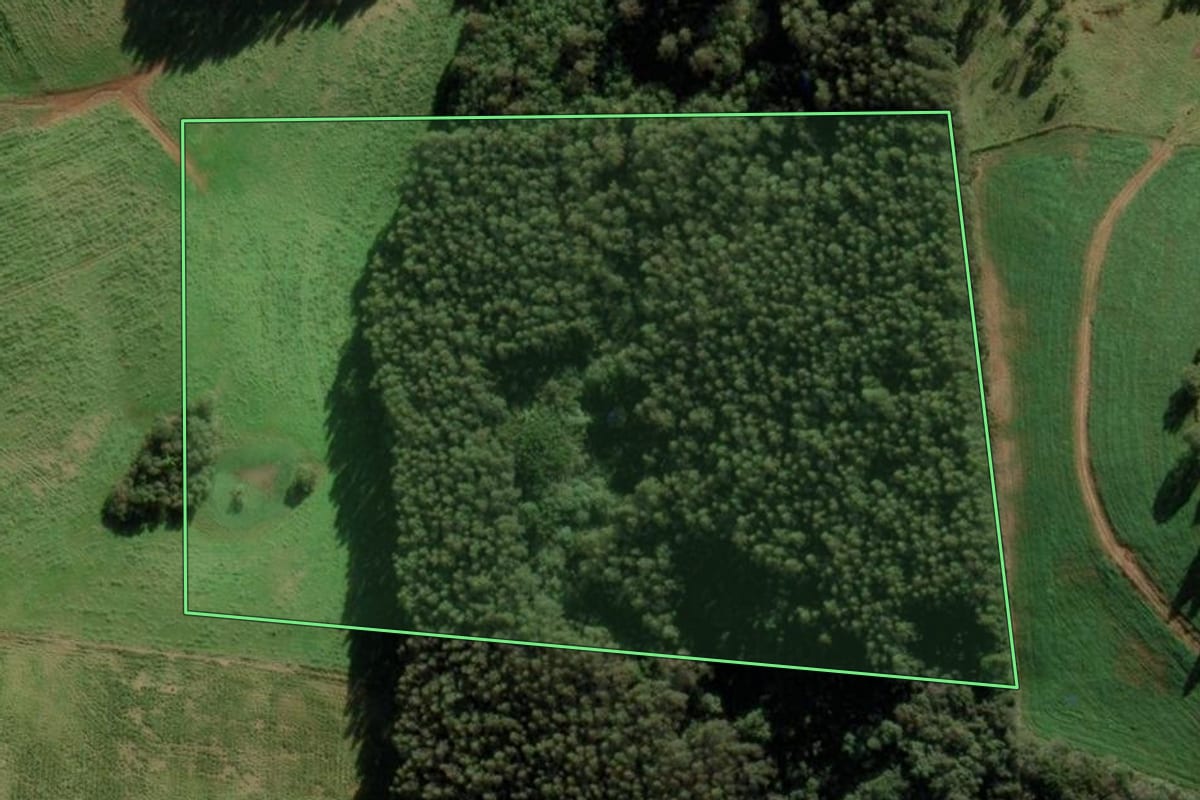 Imagem de satélite do imóvel rural em Videira (SC), com o contorno declarado no CAR desenhado por cima.