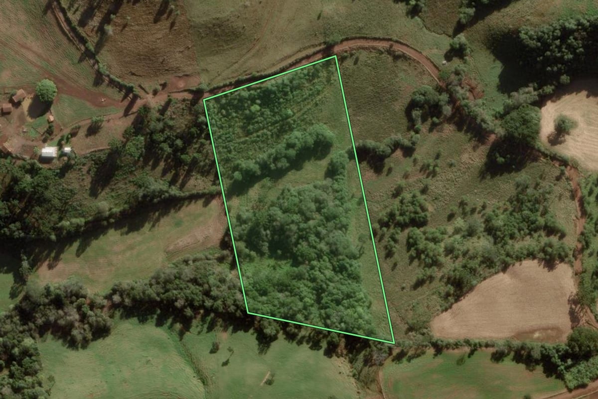 Imagem de satélite do imóvel rural em Videira (SC), com o contorno declarado no CAR desenhado por cima.