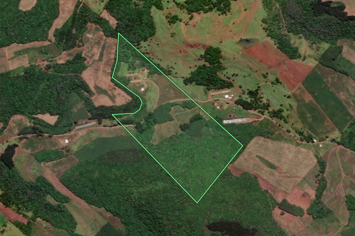 Imagem de satélite do imóvel rural em Videira (SC), com o contorno declarado no CAR desenhado por cima.