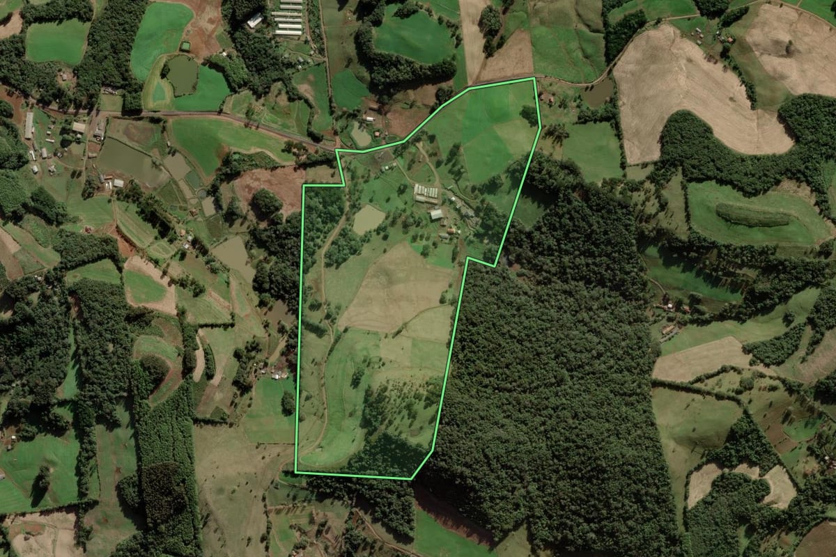 Imagem de satélite do imóvel rural em Videira (SC), com o contorno declarado no CAR desenhado por cima.