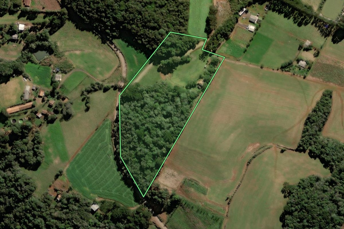 Imagem de satélite do imóvel rural em Videira (SC), com o contorno declarado no CAR desenhado por cima.