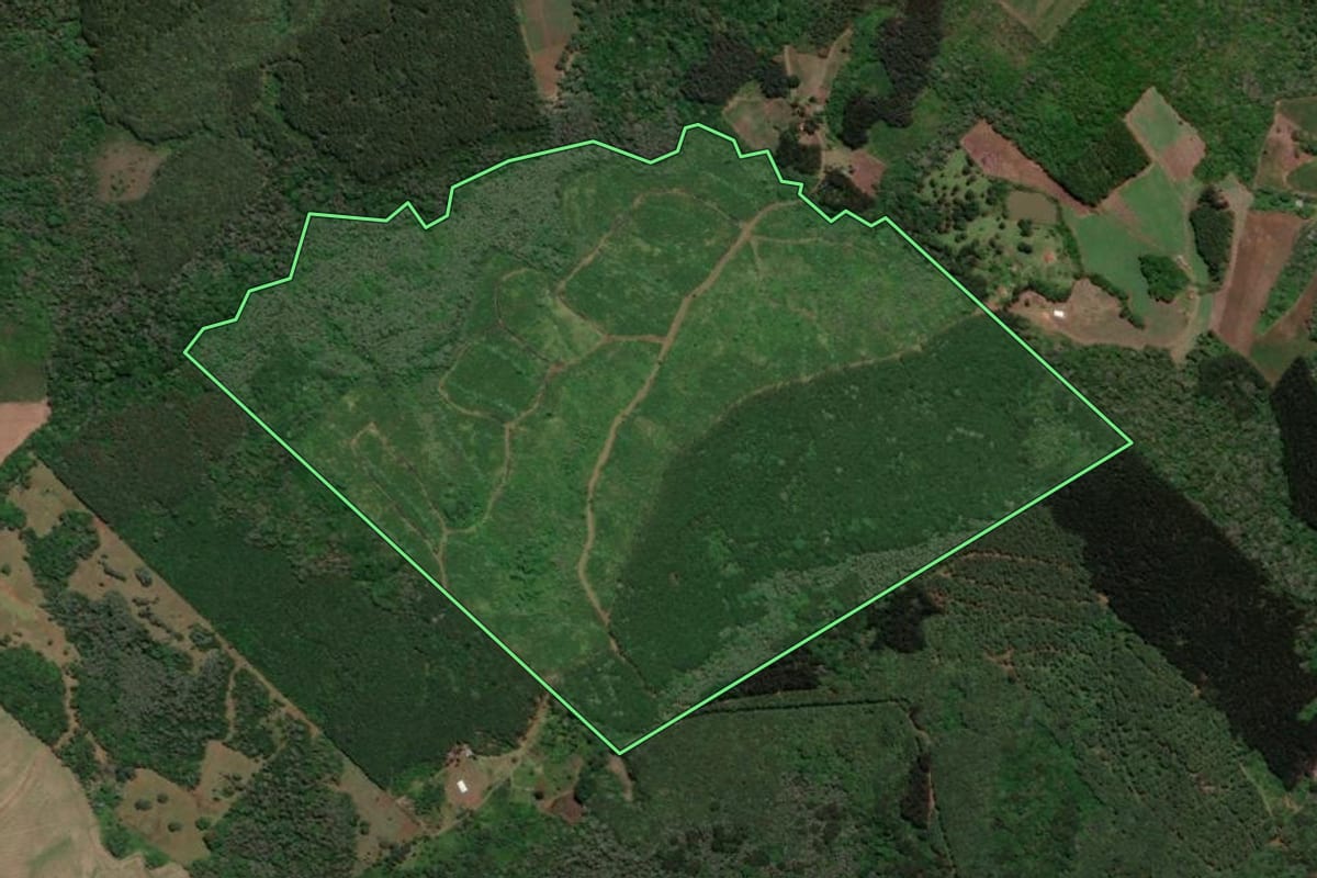 Imagem de satélite do imóvel rural em Videira (SC), com o contorno declarado no CAR desenhado por cima.