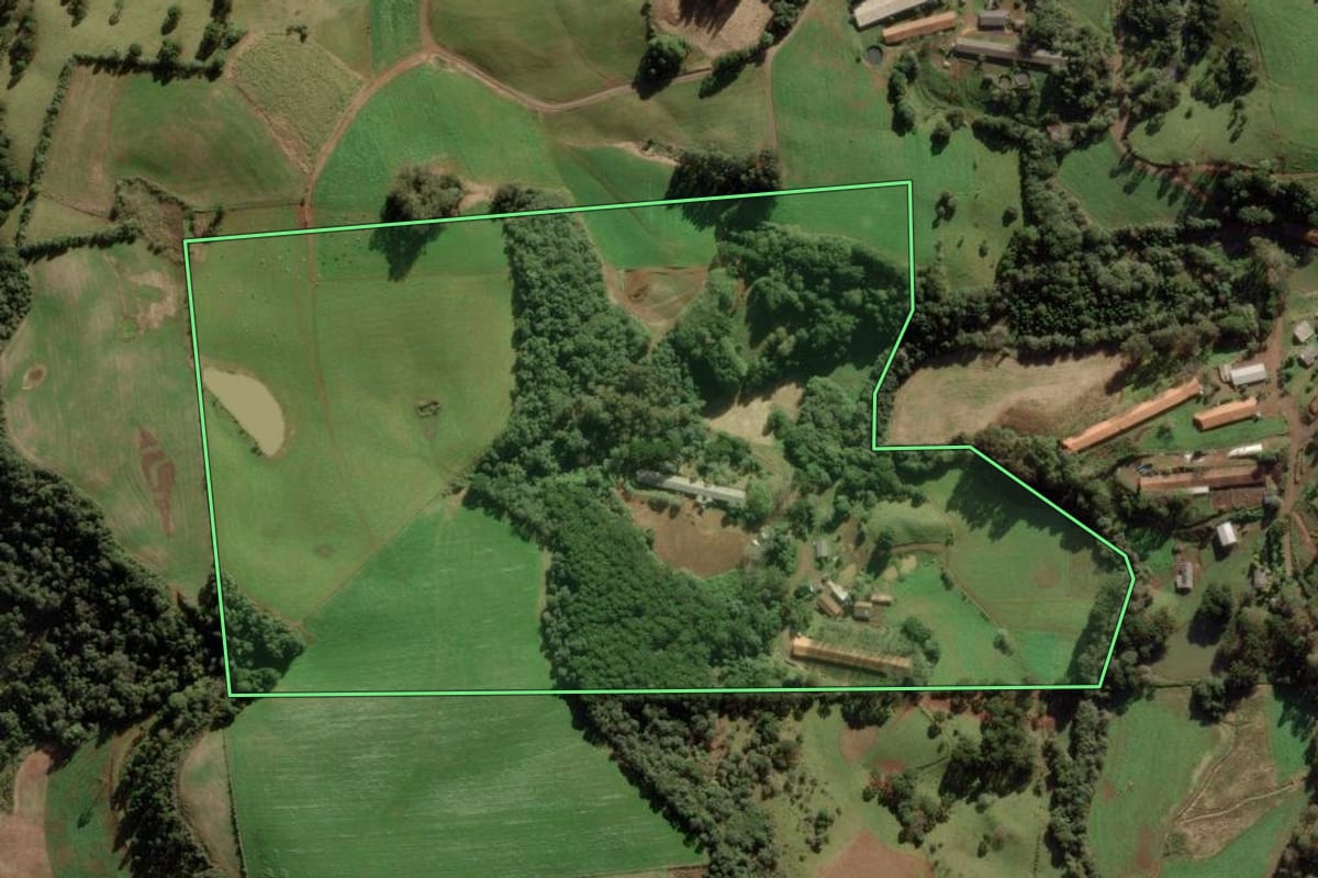 Imagem de satélite do imóvel rural em Videira (SC), com o contorno declarado no CAR desenhado por cima.