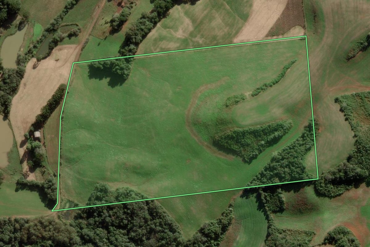 Imagem de satélite do imóvel rural em Videira (SC), com o contorno declarado no CAR desenhado por cima.