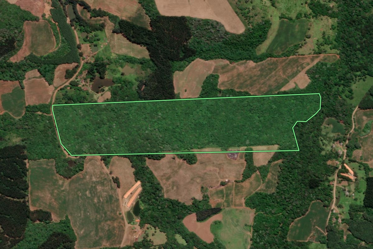 Imagem de satélite do imóvel rural em Videira (SC), com o contorno declarado no CAR desenhado por cima.