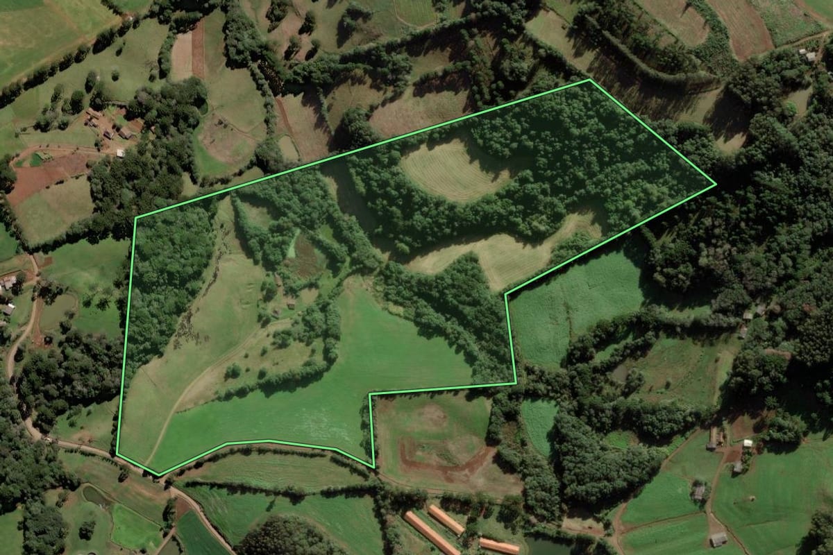 Imagem de satélite do imóvel rural em Videira (SC), com o contorno declarado no CAR desenhado por cima.