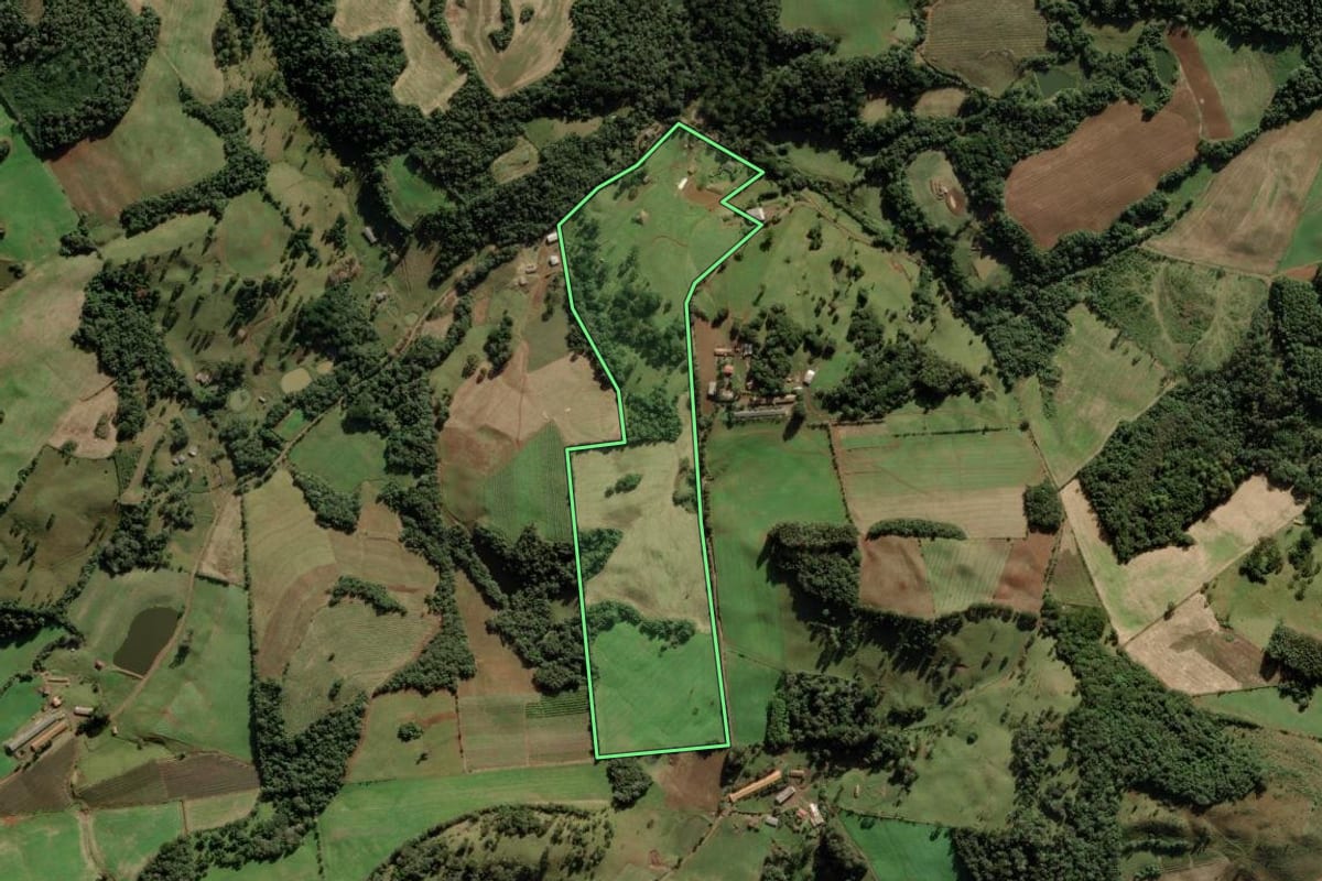 Imagem de satélite do imóvel rural em Videira (SC), com o contorno declarado no CAR desenhado por cima.