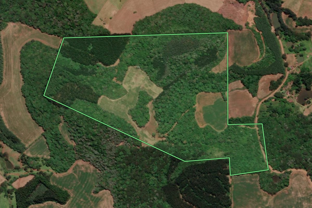 Imagem de satélite do imóvel rural em Videira (SC), com o contorno declarado no CAR desenhado por cima.
