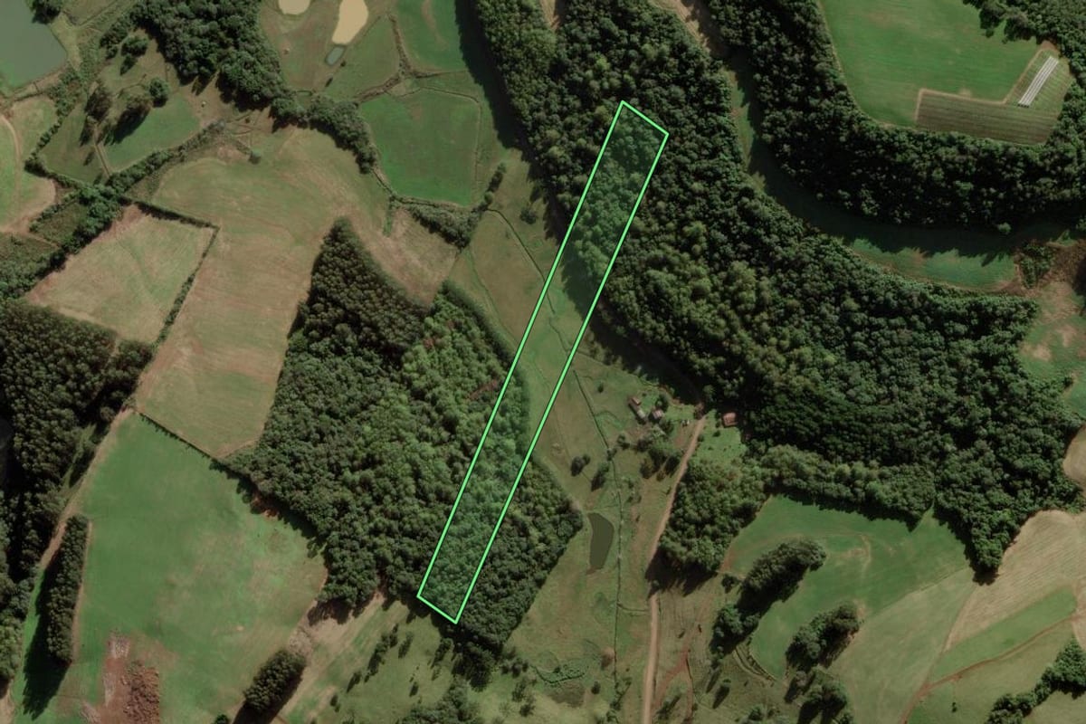 Imagem de satélite do imóvel rural em Videira (SC), com o contorno declarado no CAR desenhado por cima.