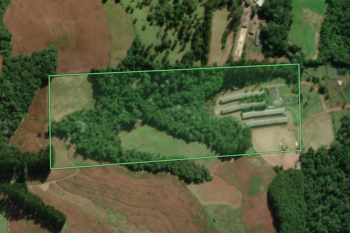 Imagem de satélite do imóvel rural em Videira (SC), com o contorno declarado no CAR desenhado por cima.