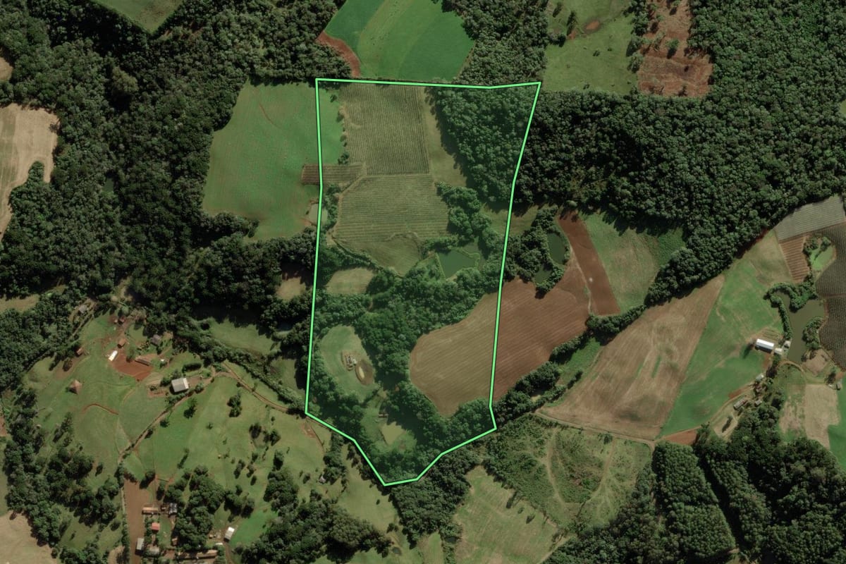Imagem de satélite do imóvel rural em Videira (SC), com o contorno declarado no CAR desenhado por cima.