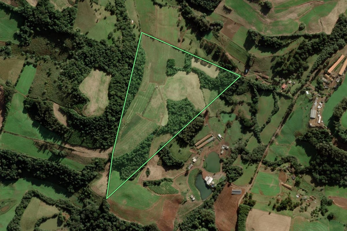 Imagem de satélite do imóvel rural em Videira (SC), com o contorno declarado no CAR desenhado por cima.