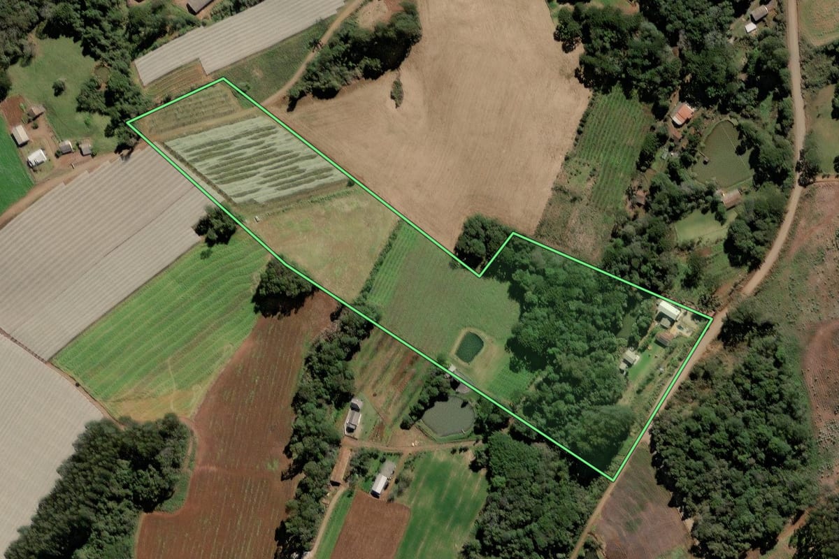 Imagem de satélite do imóvel rural em Videira (SC), com o contorno declarado no CAR desenhado por cima.