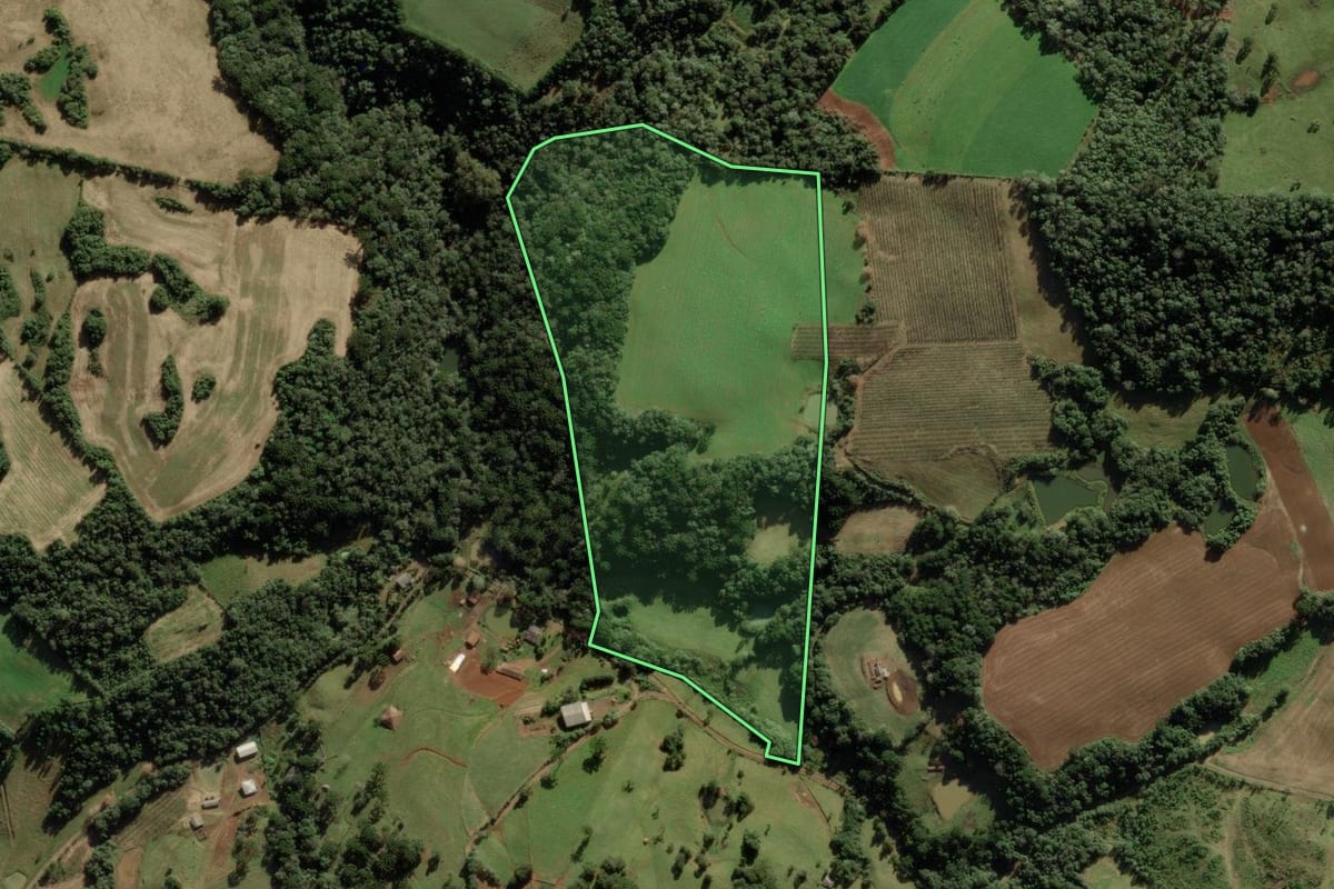 Imagem de satélite do imóvel rural em Videira (SC), com o contorno declarado no CAR desenhado por cima.
