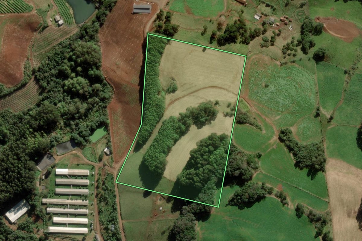 Imagem de satélite do imóvel rural em Videira (SC), com o contorno declarado no CAR desenhado por cima.
