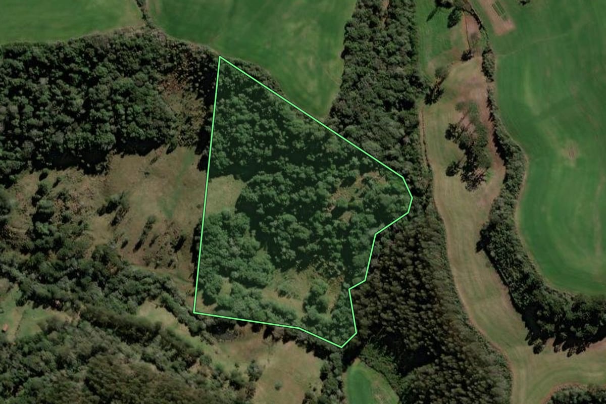 Imagem de satélite do imóvel rural em Videira (SC), com o contorno declarado no CAR desenhado por cima.