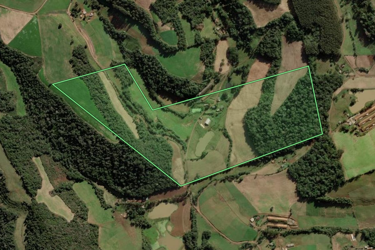 Imagem de satélite do imóvel rural em Videira (SC), com o contorno declarado no CAR desenhado por cima.