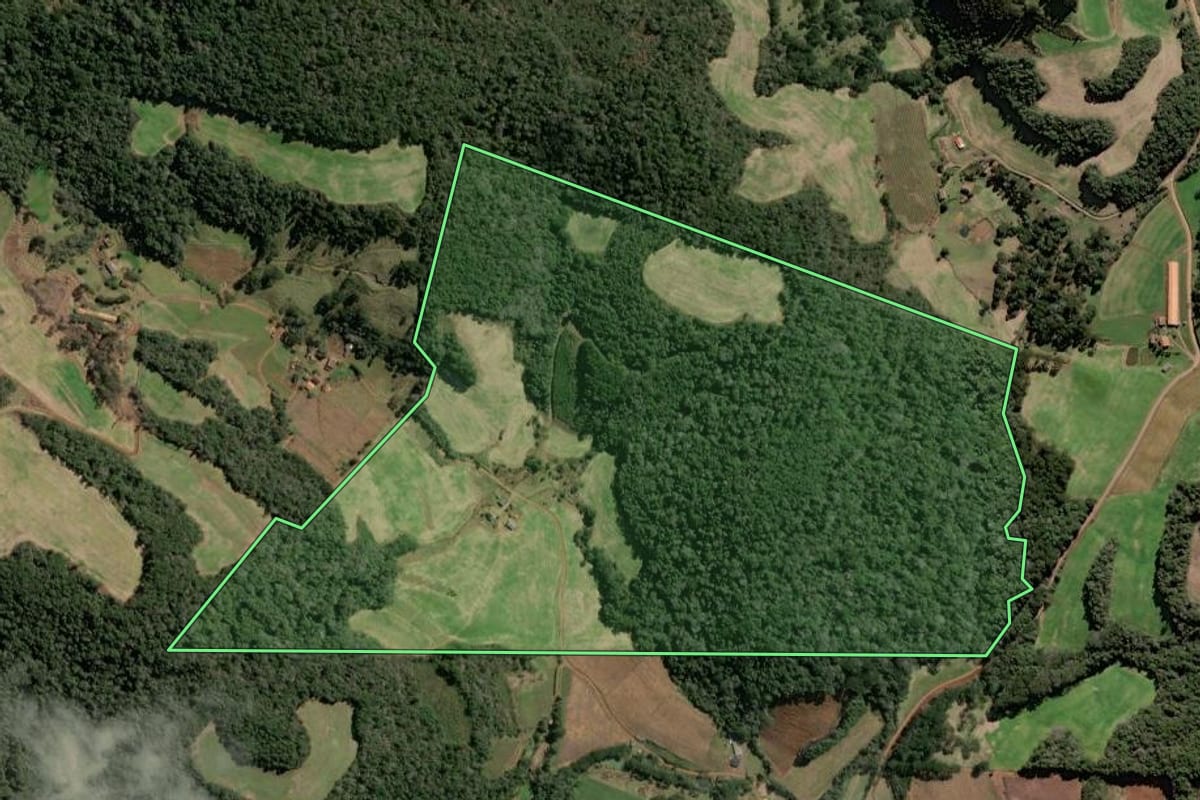 Imagem de satélite do imóvel rural em Videira (SC), com o contorno declarado no CAR desenhado por cima.