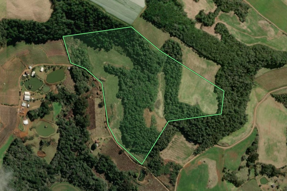 Imagem de satélite do imóvel rural em Videira (SC), com o contorno declarado no CAR desenhado por cima.