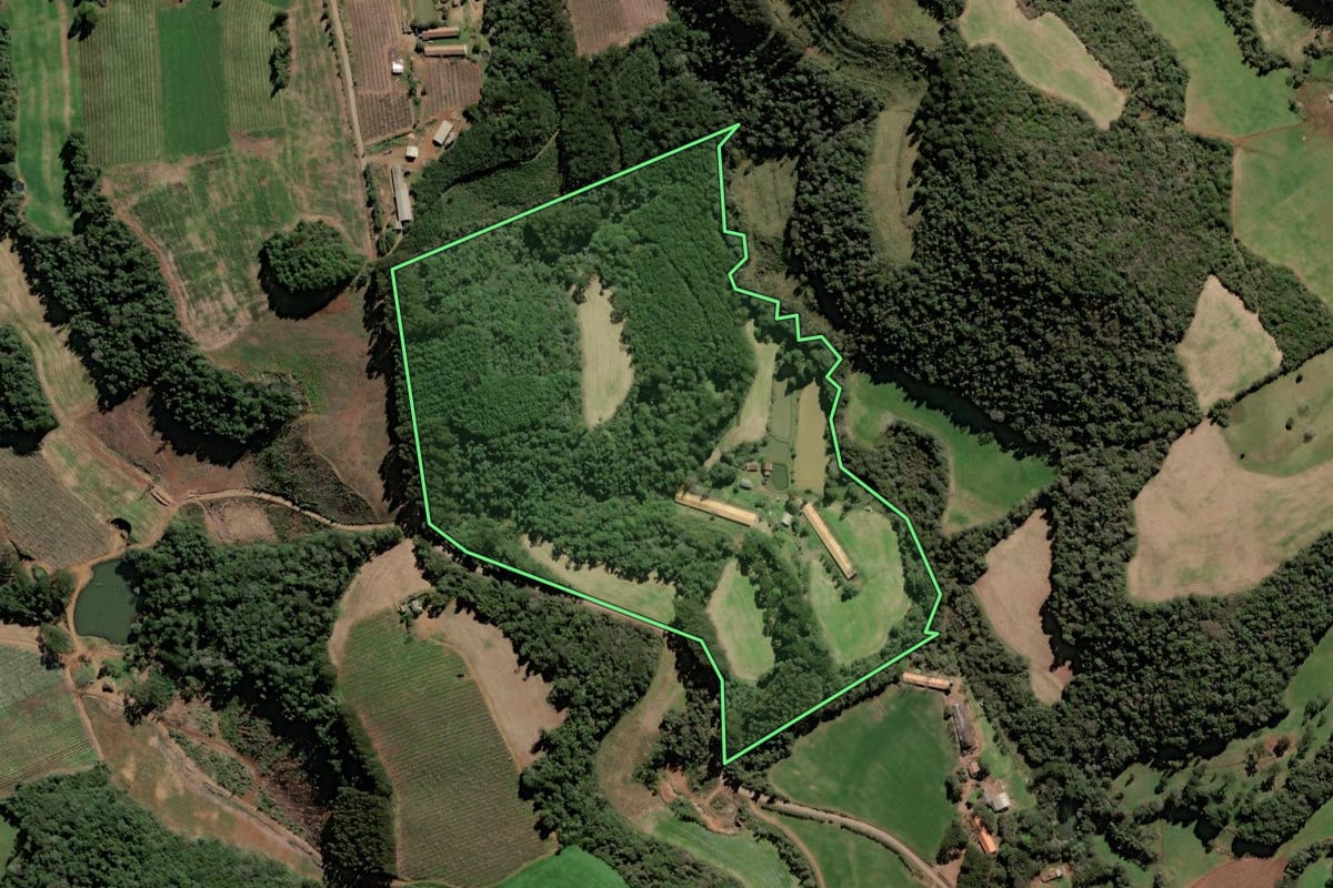 Imagem de satélite do imóvel rural em Videira (SC), com o contorno declarado no CAR desenhado por cima.