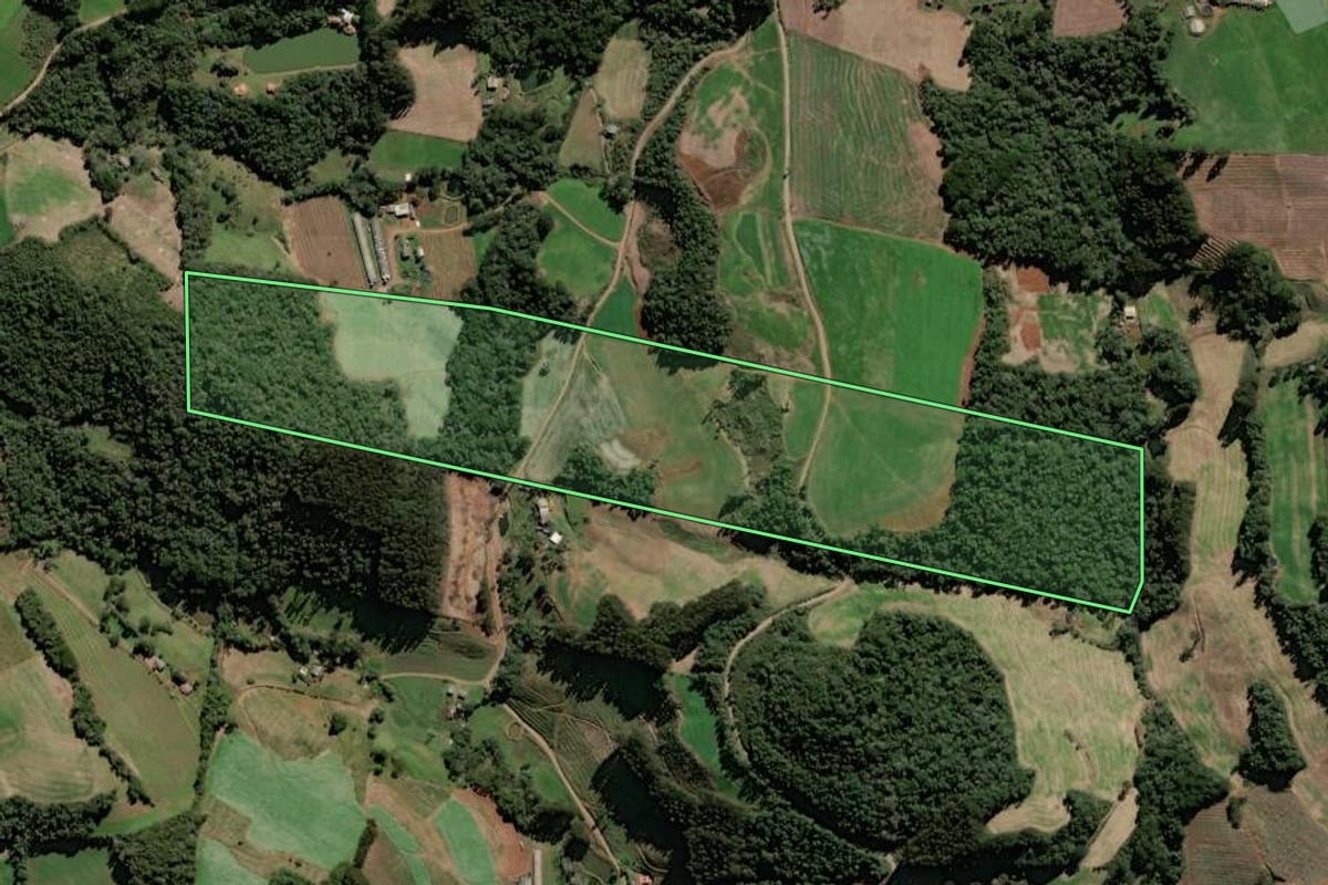 Imagem de satélite do imóvel rural em Videira (SC), com o contorno declarado no CAR desenhado por cima.