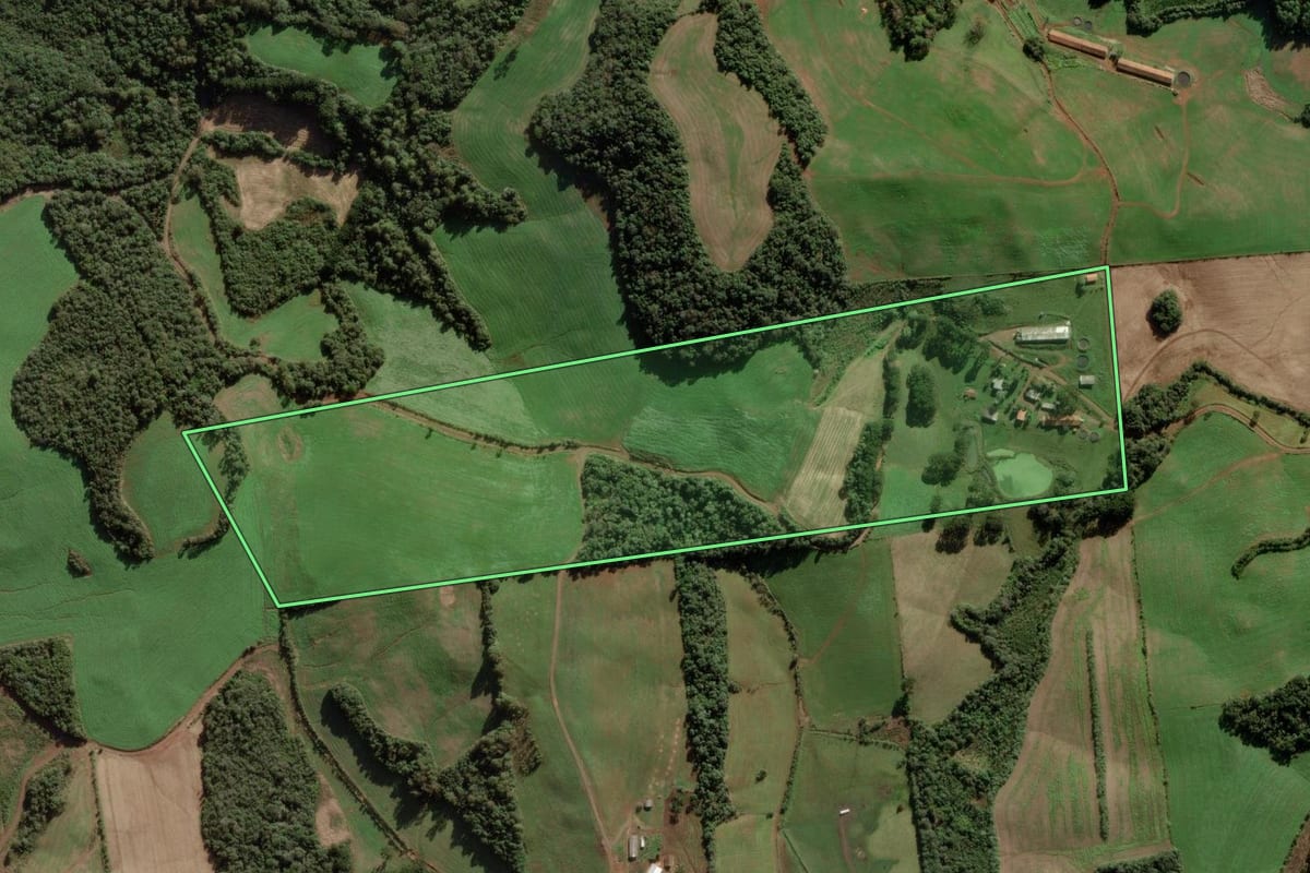 Imagem de satélite do imóvel rural em Videira (SC), com o contorno declarado no CAR desenhado por cima.